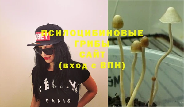 ПСИЛОЦИБИНОВЫЕ ГРИБЫ Гусиноозёрск