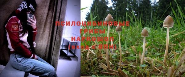 мефедрон Гусев