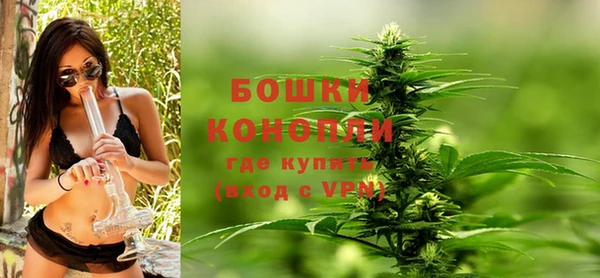 ПСИЛОЦИБИНОВЫЕ ГРИБЫ Гусиноозёрск