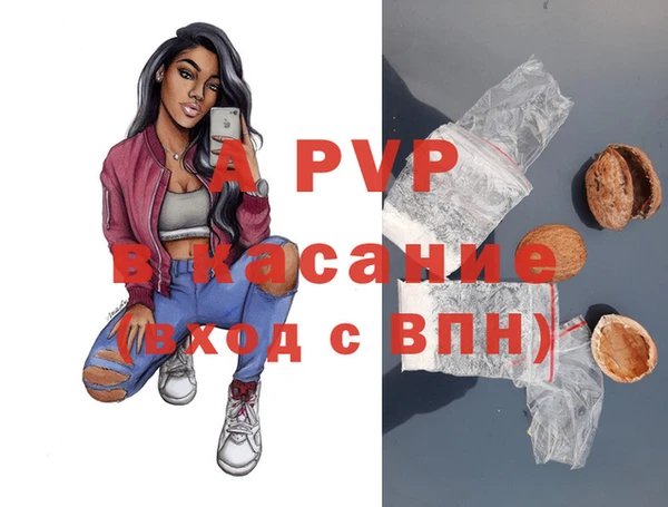 ПСИЛОЦИБИНОВЫЕ ГРИБЫ Гусиноозёрск