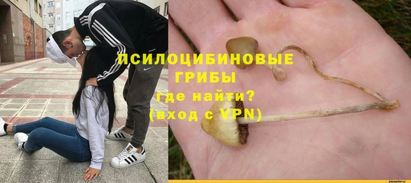 ПСИЛОЦИБИНОВЫЕ ГРИБЫ Гусиноозёрск