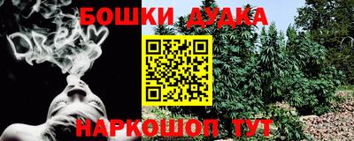 PSILOCYBIN Балахна