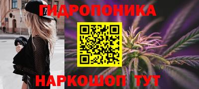 PSILOCYBIN Балахна