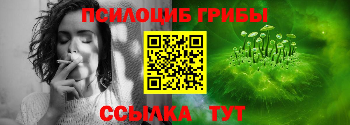 Псилоцибиновые грибы Psilocybine cubensis  Вход с VPN  Донецк 